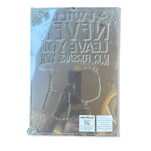 I Will Never Leave You Metal Sign Hebrews 13:5 Faith Humor Wall Decor Sealed - Picture 2 of 7